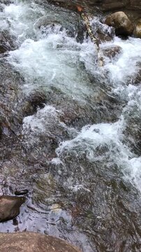 Capturing the swift and frothy river rapids in the lush chanchamayo jungle, peru. Natural, powerful