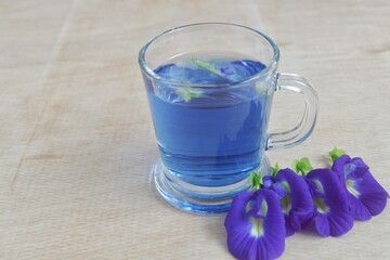 Telang tea  or butterfly pea in a glass