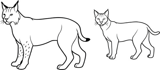bobcat silhouette vector illustration 