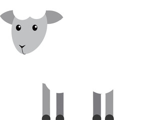 Cute animal Sheep illustration flat art design