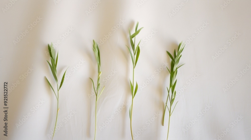 Aufkleber Abstract Nature with Three Green Plants on Soft Beige Background in Symmetrical Composition Using Long Exposure Techniques