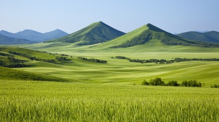 Fototapeta premium Scenic Landscape of Rolling Green Hills Under a Clear Blue Sky on a Sunny Day