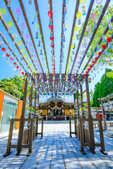 夏の琴崎八幡宮　風鈴祭り　山口県宇部市　Kotozaki Hachimangu Shrine in summer. wind chime festival. Yamaguchi Pref, Ube City.
