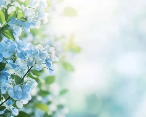 Serene Blue Floral Background with Green Leaves - Peaceful Atmosphere, Tranquil Morning, Nature Concept, Blue Flowers, Calming Vibes