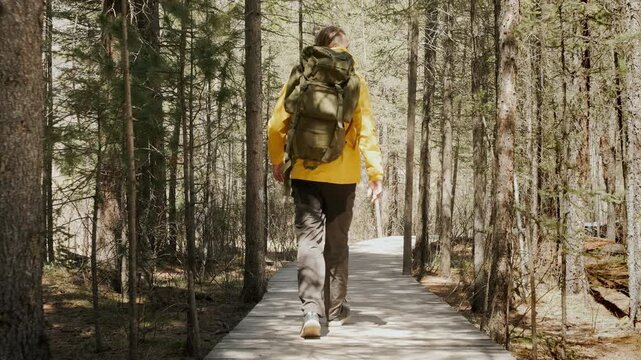 Back view at hiker man with backpack going trail forward at different scenic landscapes. Travel collage, trekking path with mountains, forest, wild lake, hills and cliff