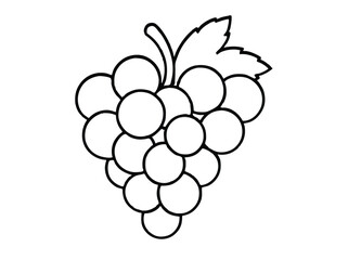 line art of grapes 