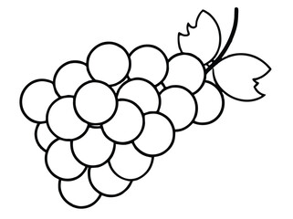 line art of grapes 
