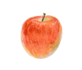 水彩絵の具で描いたりんご