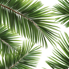 Naklejka premium Close-up of lush green palm fronds against a black background.