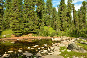 Large stones scattered along the shore of a shallow lake on the edge of a dense coniferous forest on a sunny summer day.