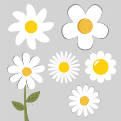 Daisy Flower Clipart Set