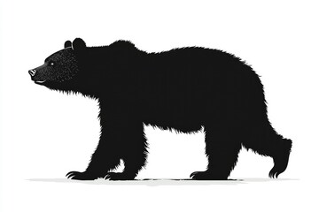 Black Bear Silhouette Walking
