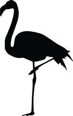 Flamingo silhouette full body illustration