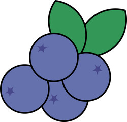 Flat illustration of blueberry fruits