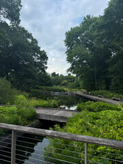 Fototapeta premium bridge and river