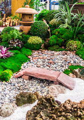 Minimal Japanese garden in home with small stone lantern and bamboo fountain and moss and flowers.
