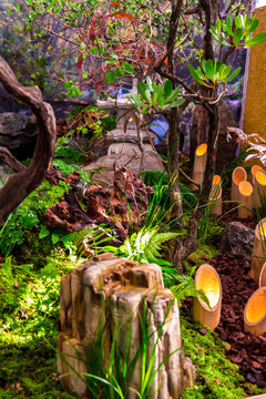 Minimal Japanese garden in home with small stone lantern and bamboo fountain and moss and flowers.
