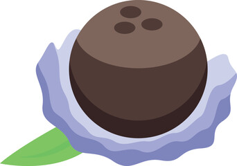 Whole coconut is shown resting on a napkin with a tropical leaf nearby