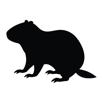 recommend clip art: Illustration of Groundhog silhouette isolated