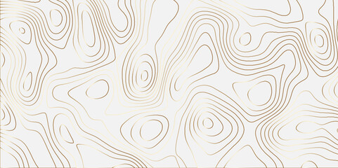 Topographic canyon geometric map relief texture with curved layers and shadow. abstract White background with a beautiful pattern, Topographic contour lines vector map seamless pattern vector.