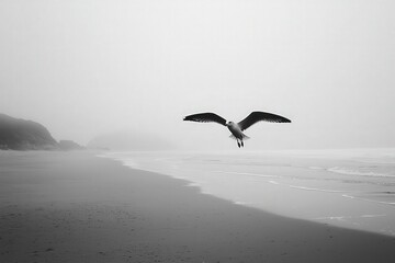 A graceful seagull soars above a foggy beach, capturing the serene beauty of nature in monochrome tones.