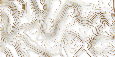 Topographic canyon geometric map relief texture with curved layers and shadow. abstract White background with a beautiful pattern, Topographic contour lines vector map seamless pattern vector.