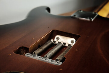 Back of electric guitar with guitar spring.