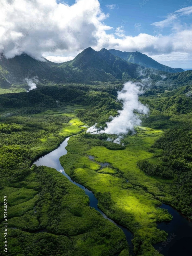 Wall mural Reforestation around geothermal plants highlights the alliance of environmental stewardship, renewable energy, and forest restoration.