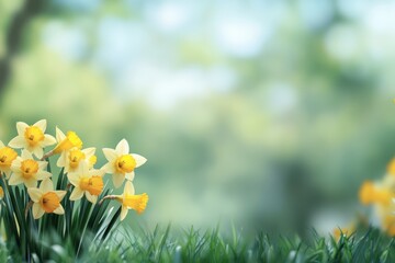 Fototapeta premium Vibrant Spring Flowers with Blurred Background
