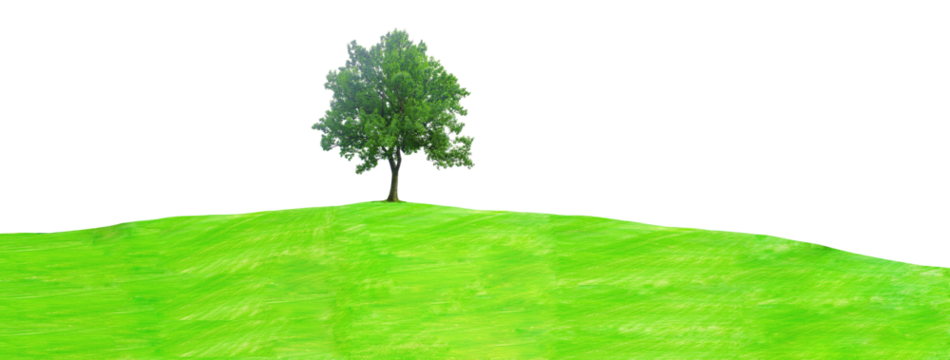 panoramic landscape, lonely tree among green fields isolate on transparent background.
