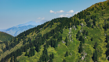 Naklejka premium landscape with trees and mountains