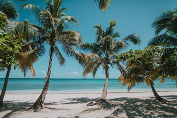 Tropical Beach Paradise