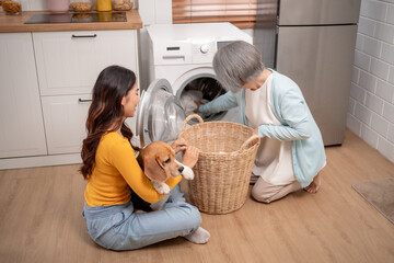 Senior woman and daughter put cloth to washing machine with Beagle dog. 
