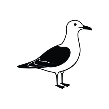 recommend clip art: Black standing seagull  Vector icon isolated on white background