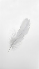 Obraz premium A white feather is shown in a close up. The feather is very thin and delicate, and it is floating in the air. The image has a serene and peaceful mood