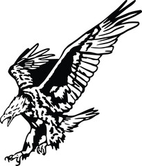 black and white illustration of a bird eagle raptor in flight, with its wings spread wide