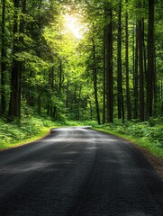 Obraz premium A peaceful, winding road through a lush green forest, inviting exploration and tranquility in nature's embrace.