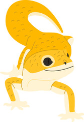 gecko lizard cartoon