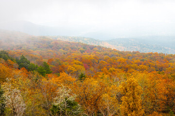 Fototapeta premium Autumn foliage at Mount Magazine with heavy fog in the valley.