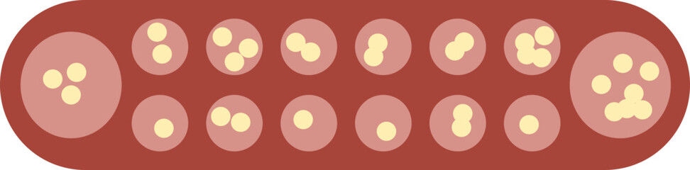 Congklak traditional game