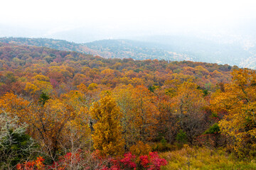 Early morning view from the lodge at Mount Magazine State Park.