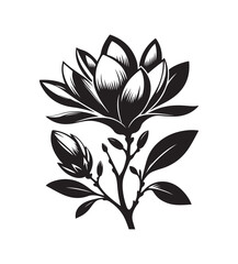 Obraz premium magnolia vector style,silhouette vector,black and white color