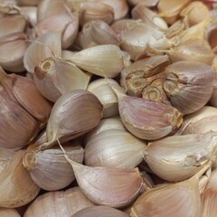 Spices called garlic with white color dry ingredients and fresh | Natural photos 