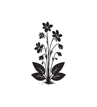 native violet vector style,silhouette vector,black and white color