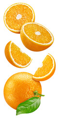 Orange isolated on white background