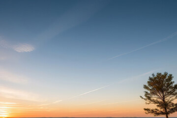 Tranquil sunset sky with a lone tree silhouette.