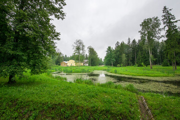 A lush green field with a pond in the middle