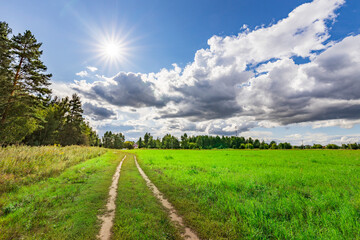 A road cuts through a field of grass