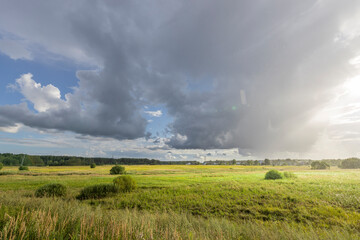 A field of grass with a cloudy sky in the background