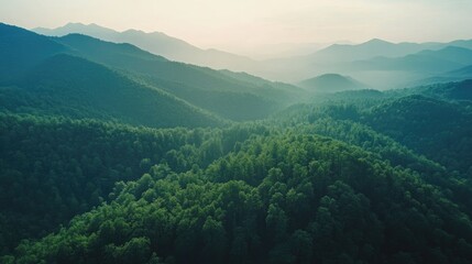 Naklejka premium Aerial perspective of a mountain range with a dense forest, clear sky area for text